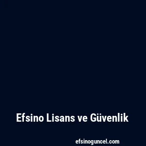 Efsino Lisans ve Güvenlik